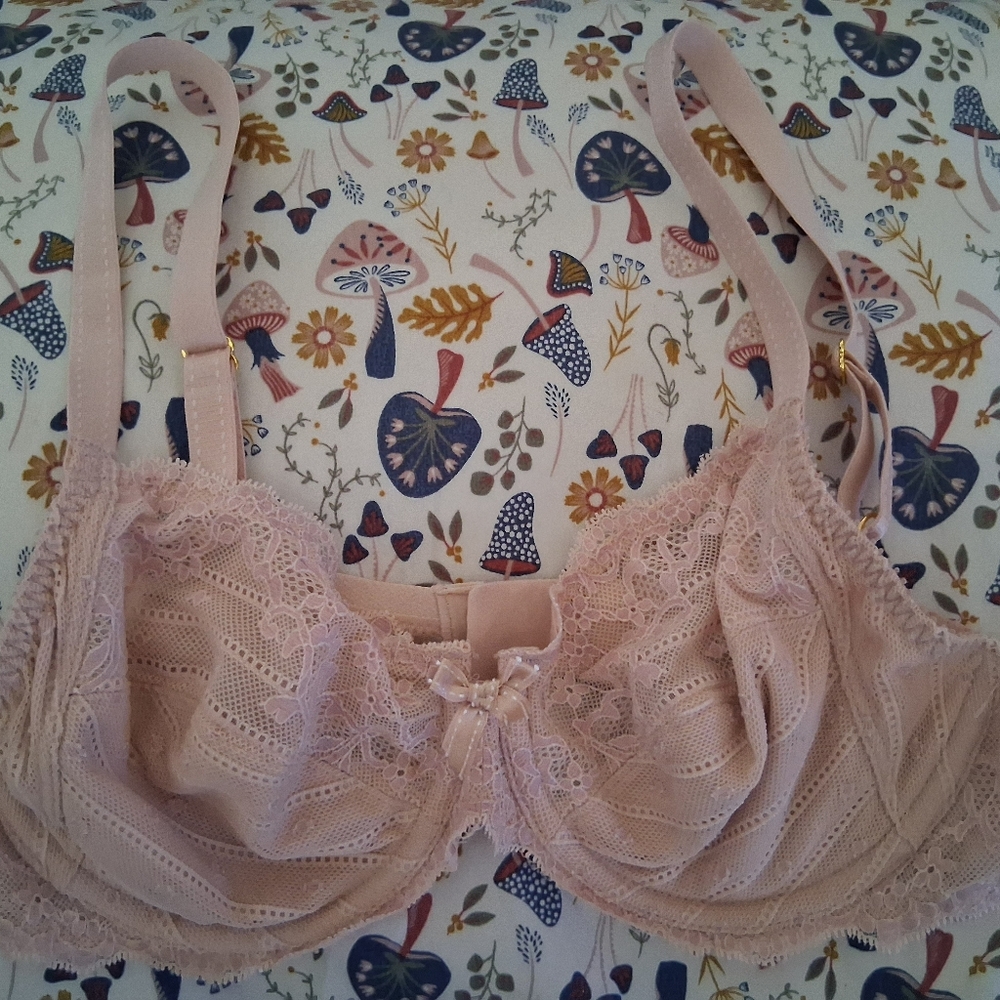 NWOT Chantelle Bra.